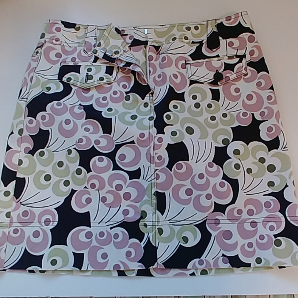 Ann Taylor Loft Skirt Size 10